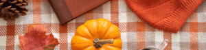 Read more about the article Five Fabulous Fall Reads With All the Feels