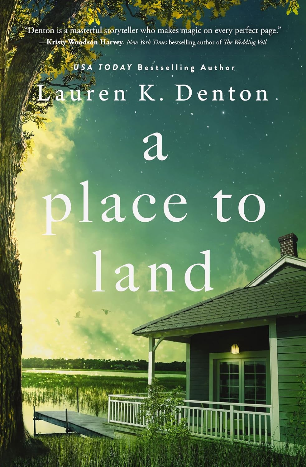 Read more about the article A Place to Land