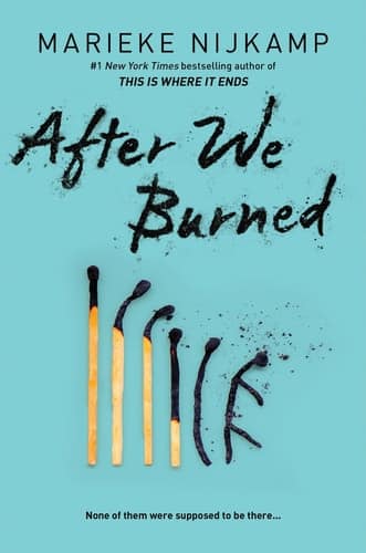 Read more about the article After We Burned